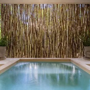Casa Cenote Private Pool Gated Ferienhaus Tulum